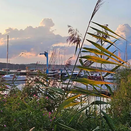 Z Widokiem Na Jezioro 公寓 哈日科维